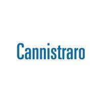 j.c. cannistraro, llc logo image