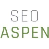 seo aspen logo image