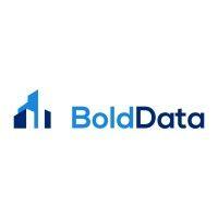 bolddata logo image