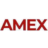 amex healthcare logo image