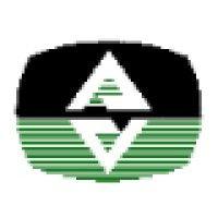 advanced video systems logo image