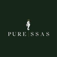 pure ssas limited logo image