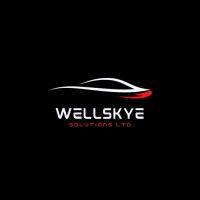 wellskye ltd logo image