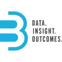 b3 insight logo image