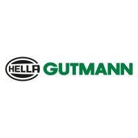 hella gutmann group logo image