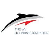 wvi dolphin foundation logo image