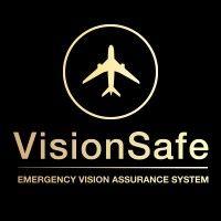 visionsafe logo image