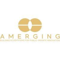 amerging | platform public-private innovation