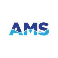 ams agenciamiento y soluciones integrales logo image