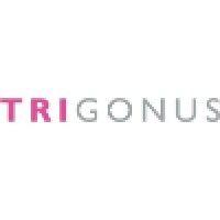 trigonus bv logo image