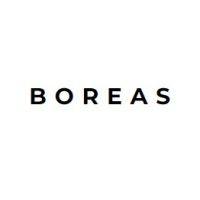 boreas technology logo image