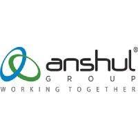 anshul group pune logo image