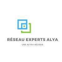 réseau experts alya logo image