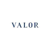 valor partners oy logo image