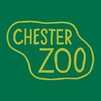 chester zoo logo image