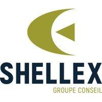 shellex consulting group inc. logo image