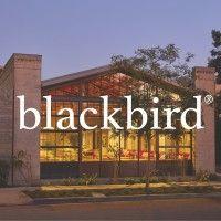 blackbird collective logo image