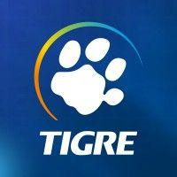 grupo tigre logo image