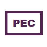 pec - priority erp consultants logo image