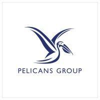 pelicans group logo image