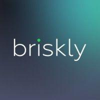 briskly logo image