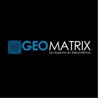 geomatrix logo image