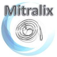 mitralix ltd.