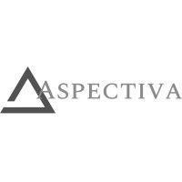 aspectiva consulting logo image