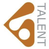 blackstone talent group logo image