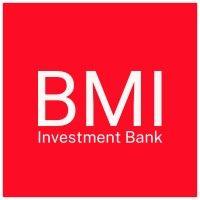 bmi capital international llc logo image