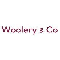 woolery & co pllc logo image