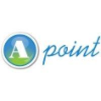 a point systems ltd logo image