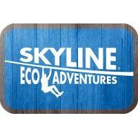 skyline eco-adventures logo image