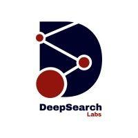 deepsearch labs logo image