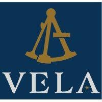 vela investment management, llc logo image