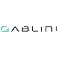 gablini automotive group logo image