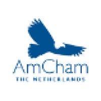 american chamber of commerce in the netherlands (amcham) logo image