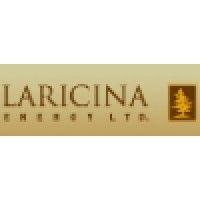 laricina energy ltd.