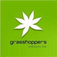 grasshoppers india pvt. ltd. logo image