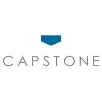 capstone partners co., ltd.