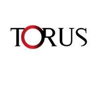 torus transforms logo image