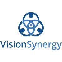 visionsynergy logo image