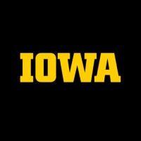 institute for international business at the university of iowa logo image