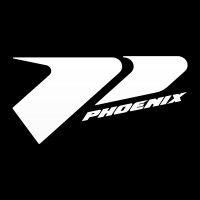 phoenix bats logo image