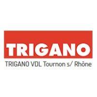 trigano vdl logo image