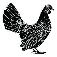 yardbird logo image