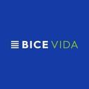 logo of Bice Vida