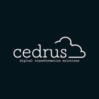 cedrus digital logo image