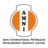 amni international petroleum development company limited logo image