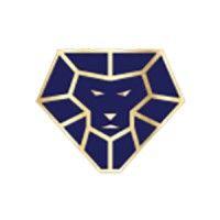 lions financial logo image